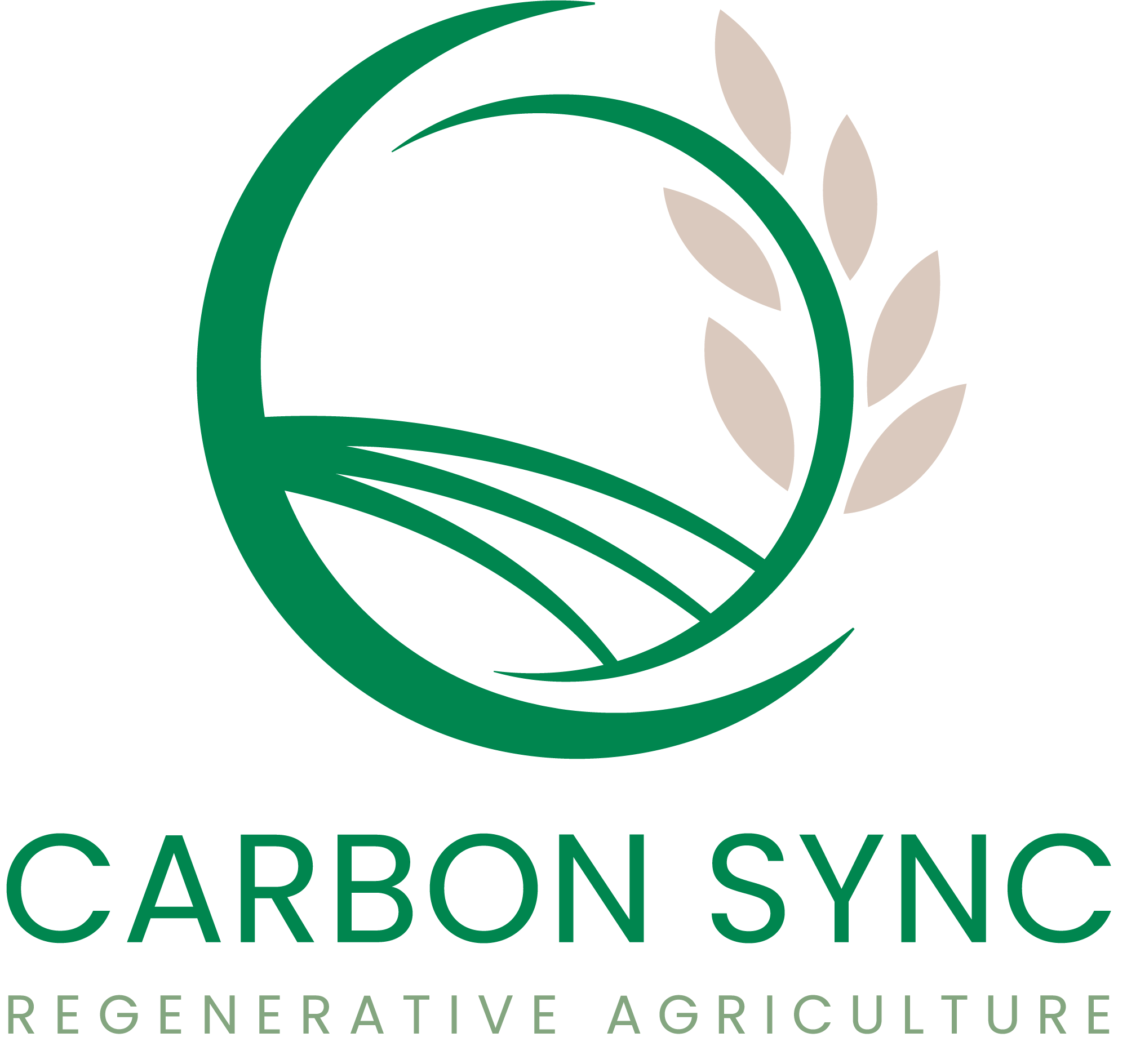 Carbon Sync